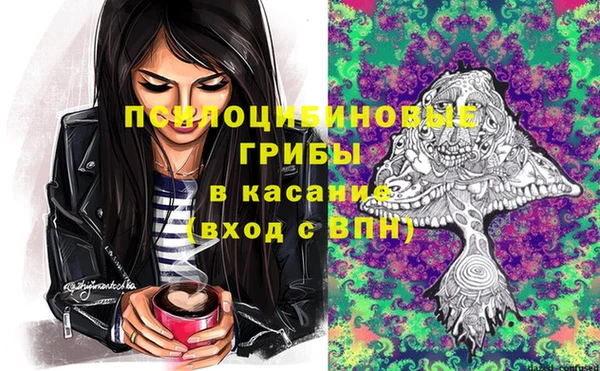 трава Зеленокумск