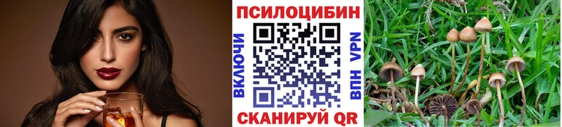 цены это официальный сайт Галлюциногенные грибы Psilocybe Солнечногорск