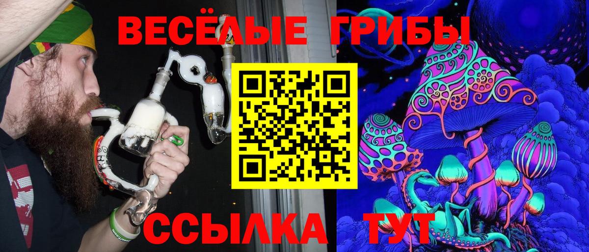 Псилоцибиновые грибы Cubensis Солнечногорск