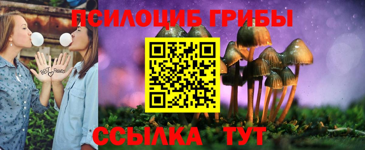 Псилоцибиновые грибы прущие грибы  Псилоцибиновые грибы мицелий  Вход с VPN  Солнечногорск 