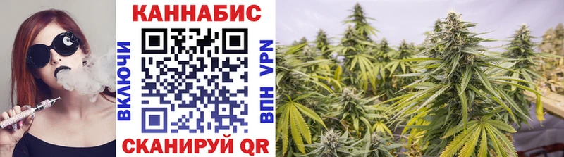 купить закладку  Солнечногорск  Каннабис White Widow 